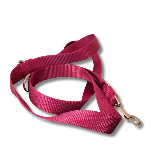 Hundeleine mit Karabiner